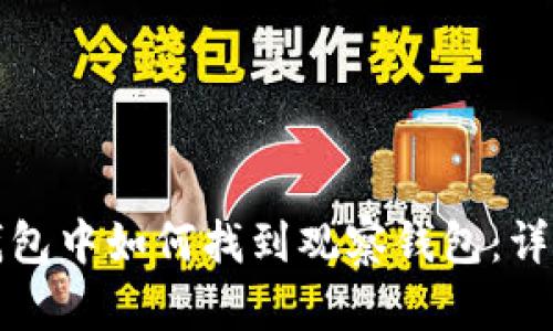 在TP钱包中如何找到观察钱包:详细指南