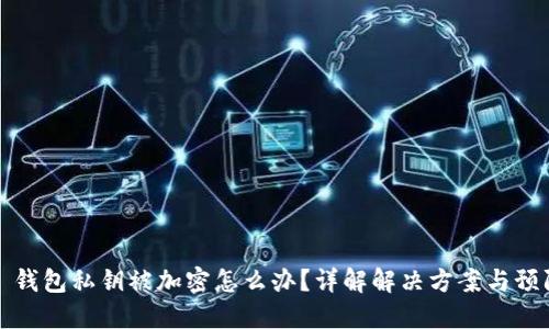 ### 钱包私钥被加密怎么办?详解解决方案与预防措施