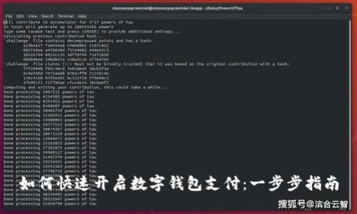 如何快速开启数字钱包支付:一步步指南