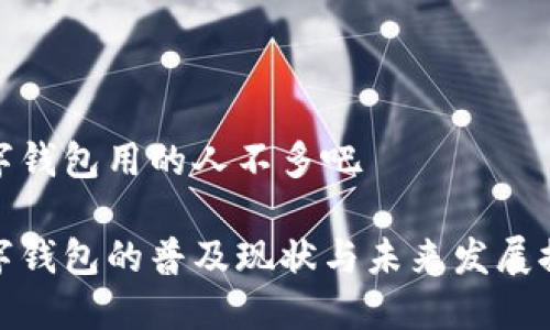 数字钱包用的人不多吧
数字钱包的普及现状与未来发展探讨