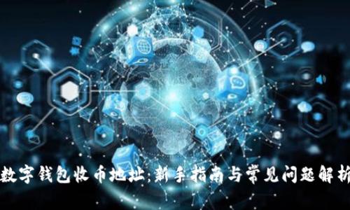 数字钱包收币地址：新手指南与常见问题解析