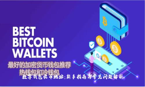 数字钱包收币地址：新手指南与常见问题解析