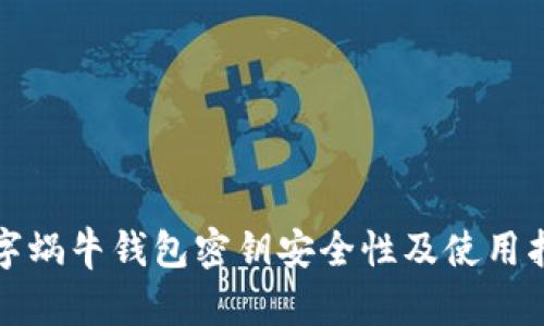 数字蜗牛钱包密钥安全性及使用指南