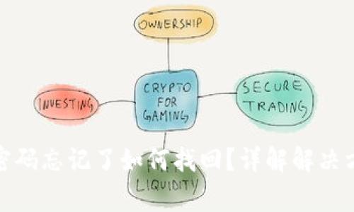 数字钱包支付密码忘记了如何找回?详解解决方案与注意事项
