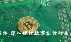 数字钱包载体：深入探讨数字支付的未来和安全