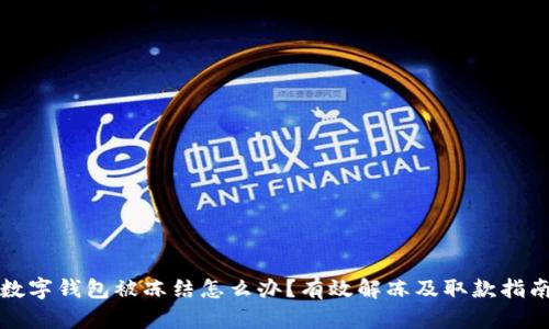 数字钱包被冻结怎么办？有效解冻及取款指南