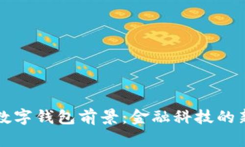 未来数字钱包前景：金融科技的新时代