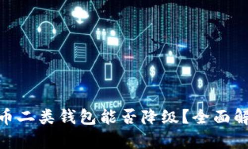 数字人民币二类钱包能否降级？全面解析与答疑