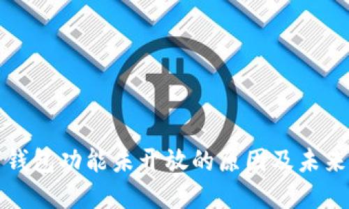 数字钱包功能未开放的原因及未来展望