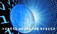 江苏数字钱包:破解传统支付困境,畅享智慧生