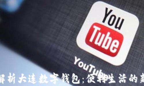 全面解析大连数字钱包:便利生活的新选择