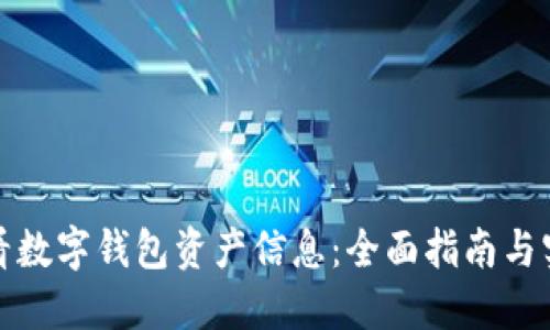 如何查看数字钱包资产信息:全面指南与实用技巧