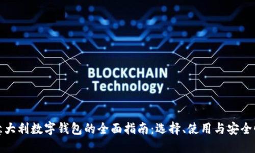 意大利数字钱包的全面指南:选择、使用与安全性