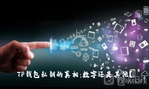 TP钱包私钥的真相：数字还是其他？