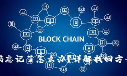 加密钱包密码忘记了怎么办?详解找回方案与注意事项