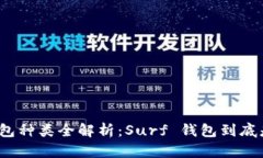 数字钱包种类全解析:Surf 钱包到底是什么?