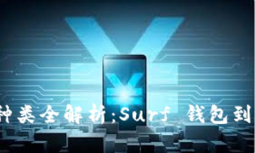 数字钱包种类全解析:Surf 钱包到底是什么?
