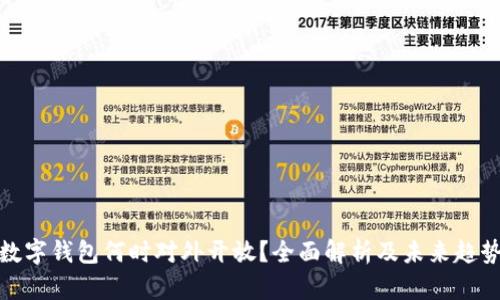 数字钱包何时对外开放?全面解析及未来趋势