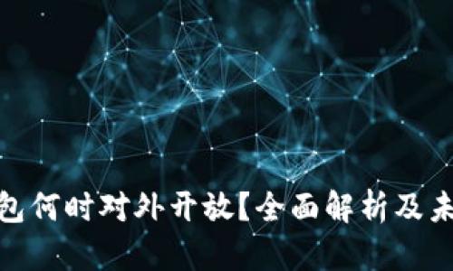 数字钱包何时对外开放?全面解析及未来趋势