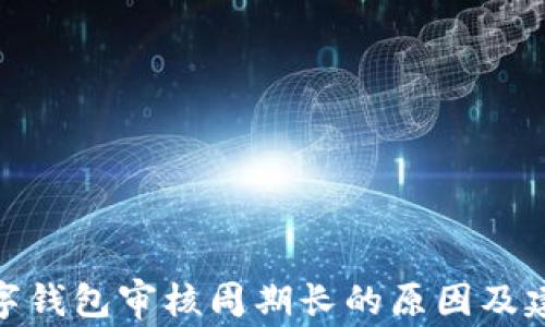 
数字钱包审核周期长的原因及建议