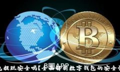 数字钱包提现安全吗?全面解析数字钱包的安全