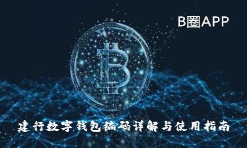 建行数字钱包编码详解与使用指南