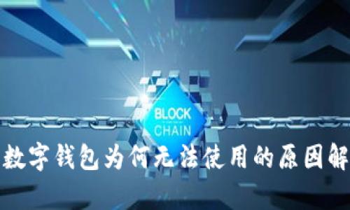 : 数字钱包为何无法使用的原因解析