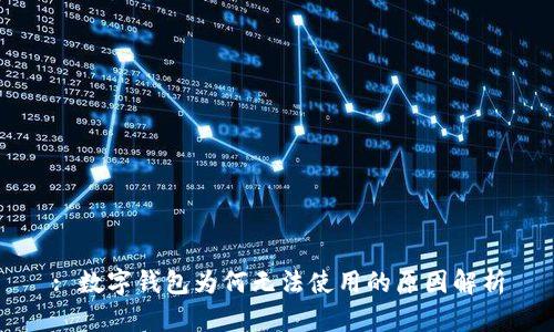 : 数字钱包为何无法使用的原因解析