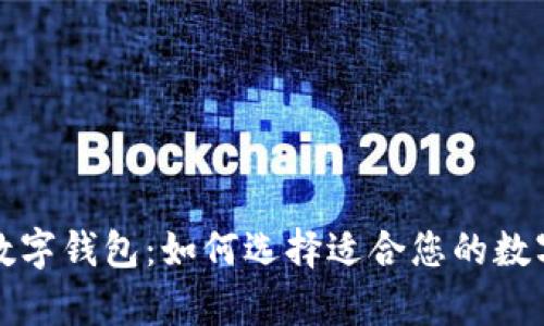 全面解析法国数字钱包：如何选择适合您的数字支付解决方案