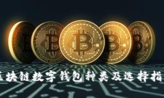 区块链数字钱包种类及选择指南
