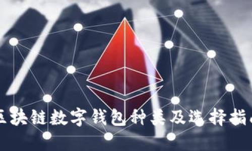 区块链数字钱包种类及选择指南
