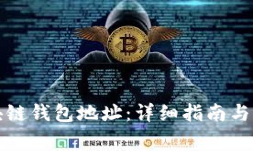 如何导入区块链钱包地址:详细指南与常见问题解答
