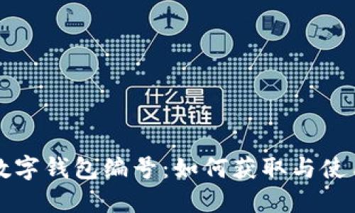 邮政数字钱包编号：如何获取与使用指南
