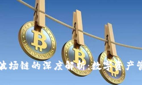 TP钱包与波场链的深度解析：数字资产管理的未来