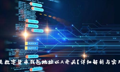 什么是数字货币钱包地址以A开头?详细解析与实用指南