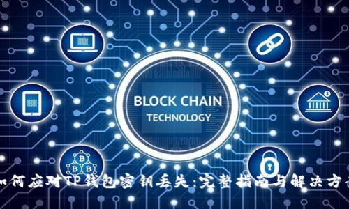 如何应对TP钱包密钥丢失:完整指南与解决方案