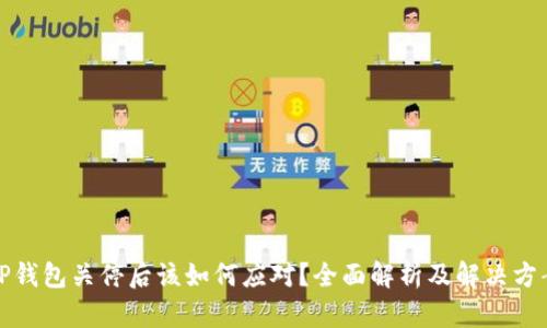 TP钱包关停后该如何应对?全面解析及解决方案