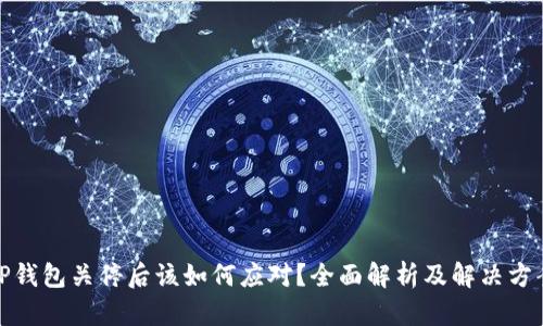 TP钱包关停后该如何应对?全面解析及解决方案