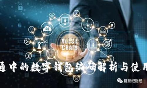 数字通中的数字钱包编码解析与使用指南