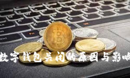 建行数字钱包关闭的原因与影响分析