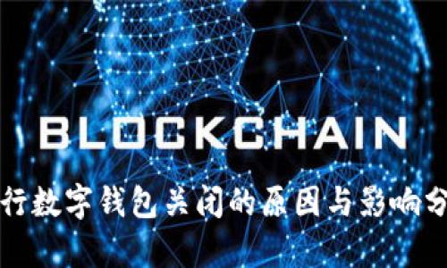 建行数字钱包关闭的原因与影响分析
