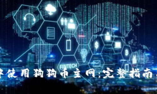 如何在TP钱包中使用狗狗币主网:完整指南与常见问题解答