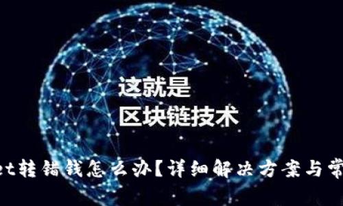 TokenPocket转错钱怎么办?详细解决方案与常见问题解析