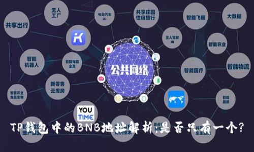 TP钱包中的BNB地址解析:是否只有一个?