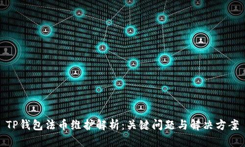 TP钱包法币维护解析:关键问题与解决方案