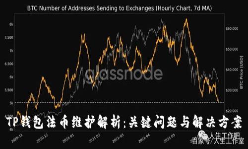 TP钱包法币维护解析:关键问题与解决方案