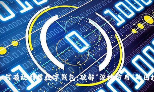 如何有效利用数字钱包:破解“没地方用”的困境