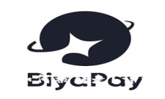 TP钱包中的USDT如何被转走?详细解析与安全防护