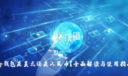 tp钱包是美元还是人民币?全面解读与使用指南