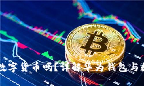 华为钱包支持数字货币吗?详解华为钱包与数字货币的关系